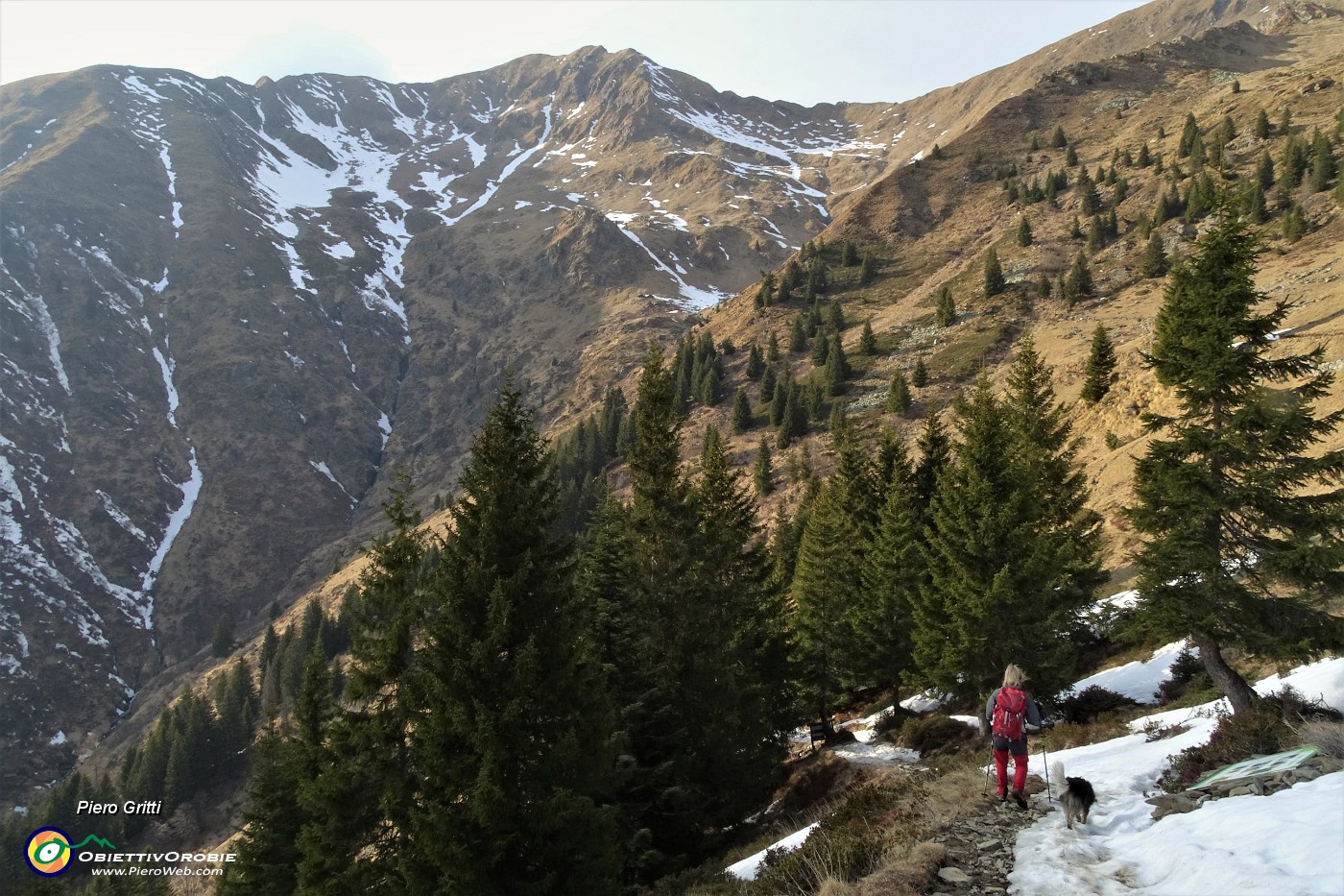 94 Passiamo ai margini della foresta Azzaredo.JPG